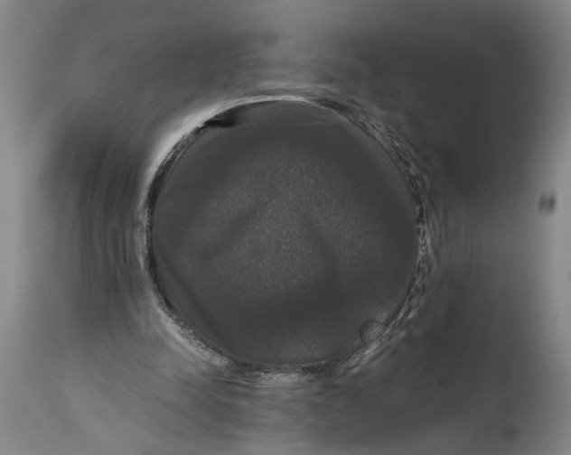 X0000114640342200911101303