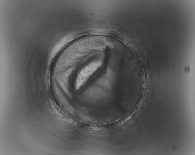X0000114640343200911101303