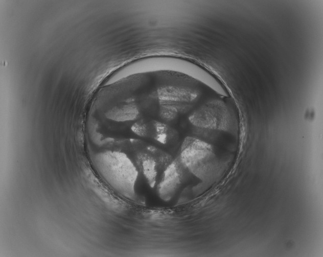 X0000114640345200911101303