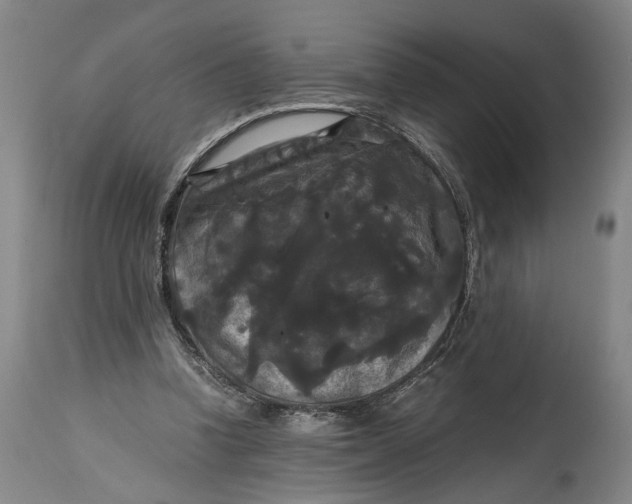 X0000114640346200911101303