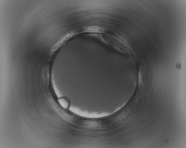 X0000114640349200911101303