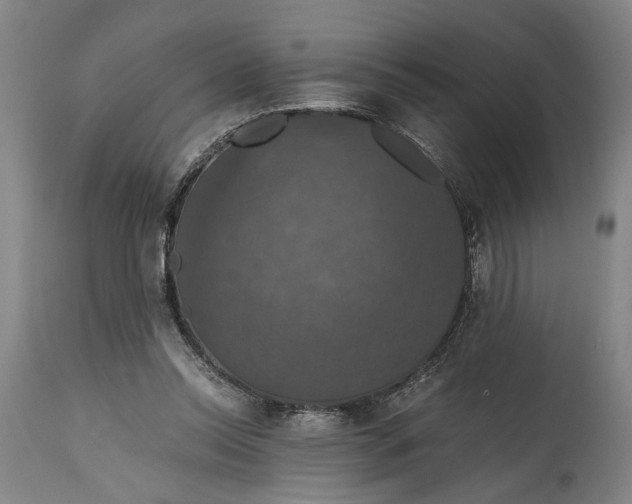 X0000114640350200911101303