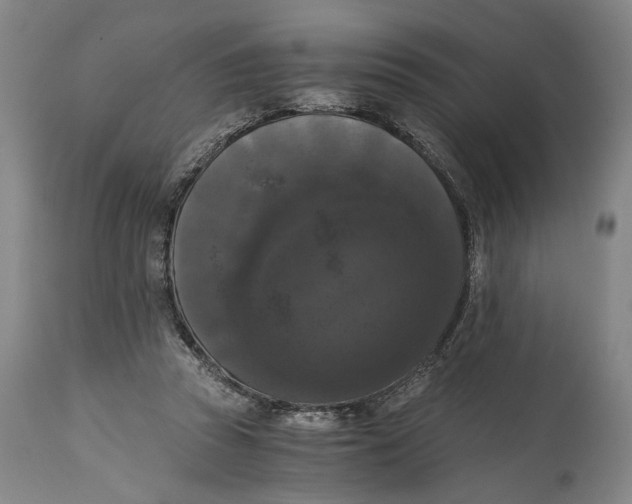 X0000114640353200911101303