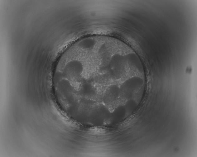X0000114640354200911101303