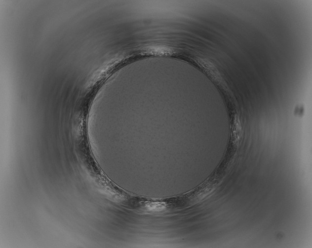 X0000114640355200911101303