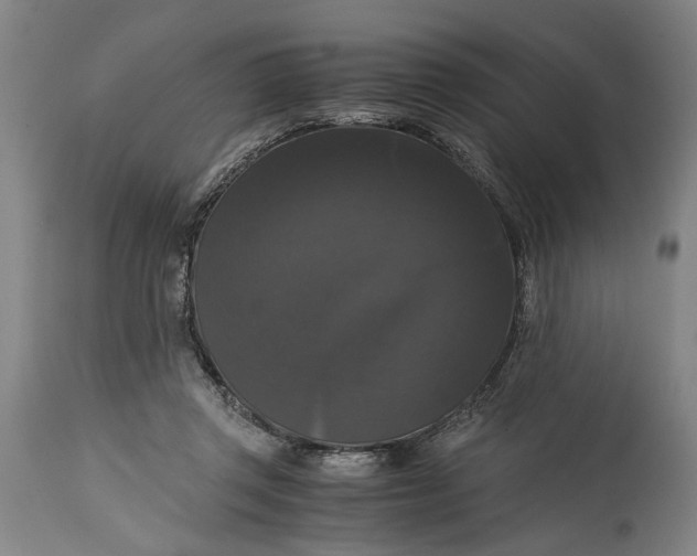 X0000114640357200911101303