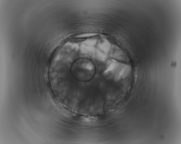 X0000114640359200911101303