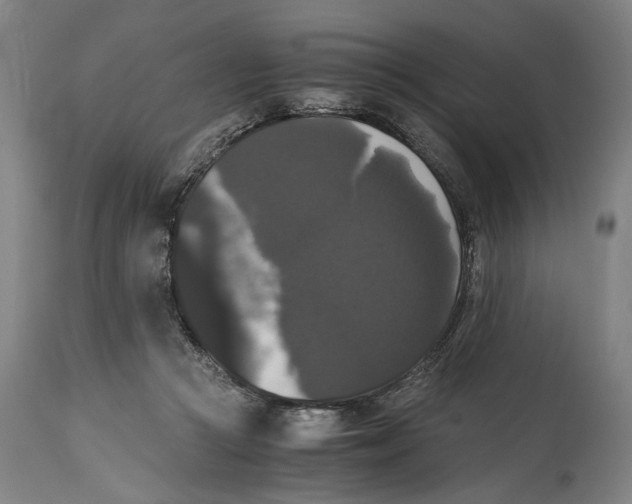 X0000114640361200911101303
