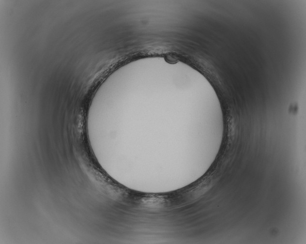 X0000114640362200911101303