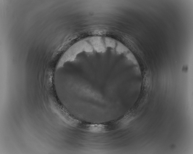 X0000114640363200911101303