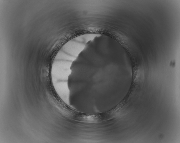 X0000114640365200911101303