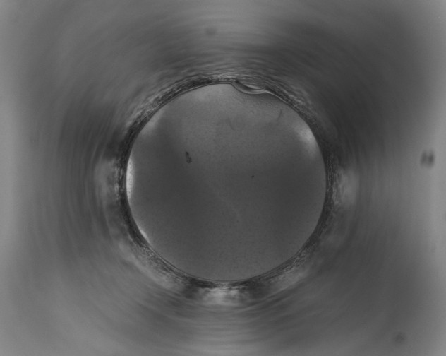 X0000114640366200911101303