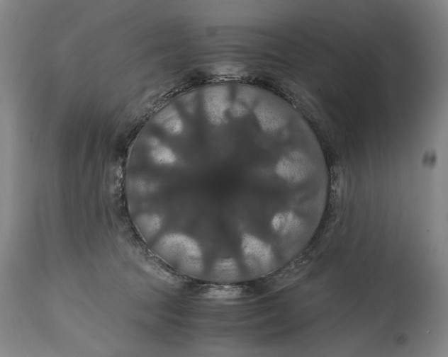 X0000114640369200911101303