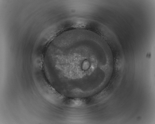 X0000114640370200911101303