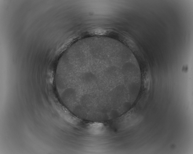 X0000114640374200911101303