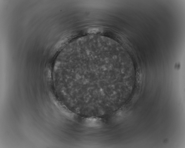 X0000114640375200911101303
