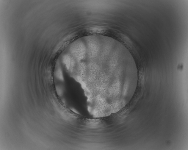 X0000114640377200911101303