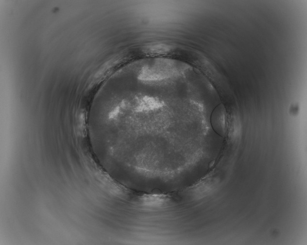 X0000114640378200911101303