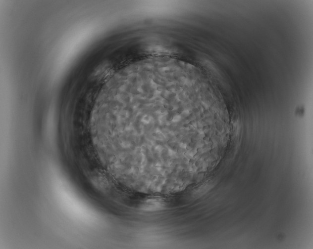 X0000114640381200911101304