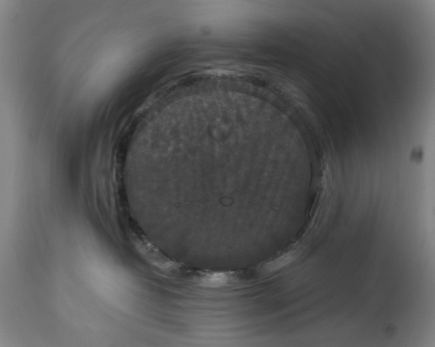 X0000114640382200911101304