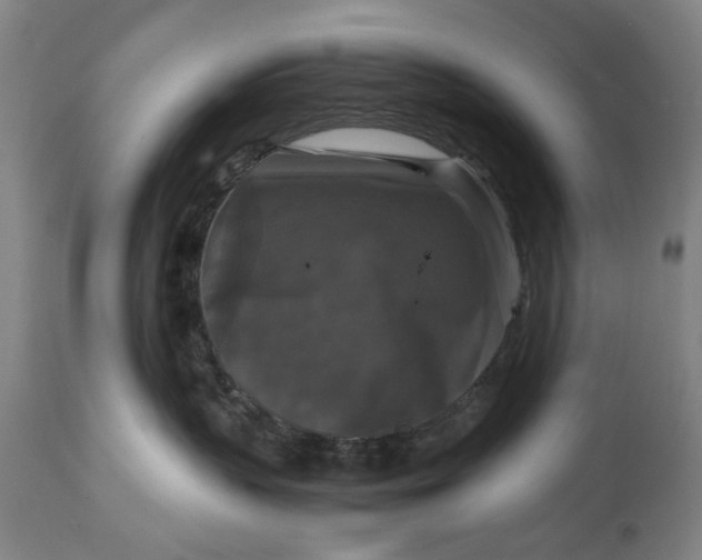 X0000114640383200911101304