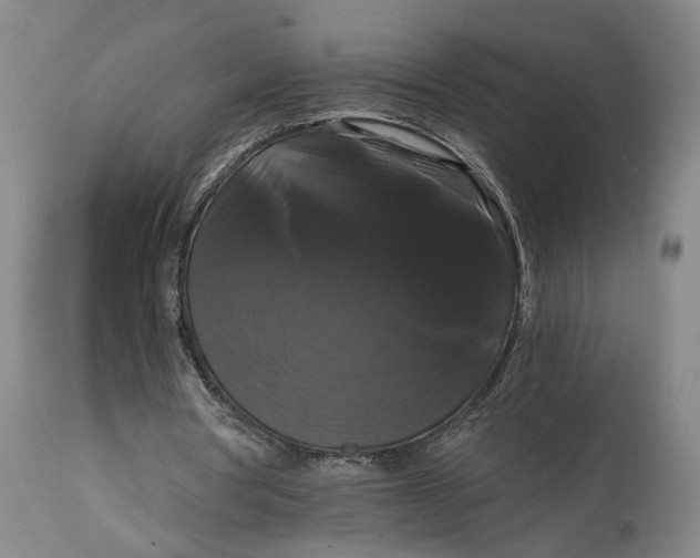 X0000114640386200911101303
