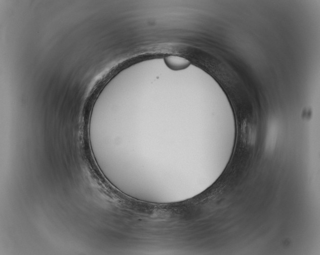 X0000114640388200911101303