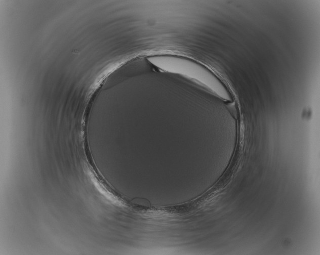 X0000114640389200911101303