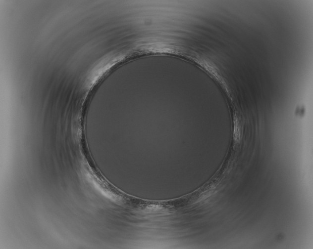 X0000114640390200911101303