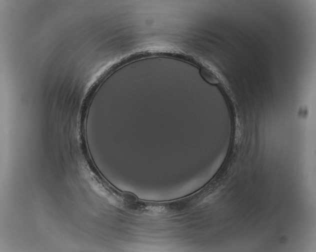 X0000114640391200911101303