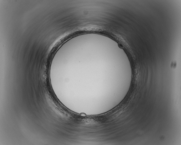 X0000114640392200911101303