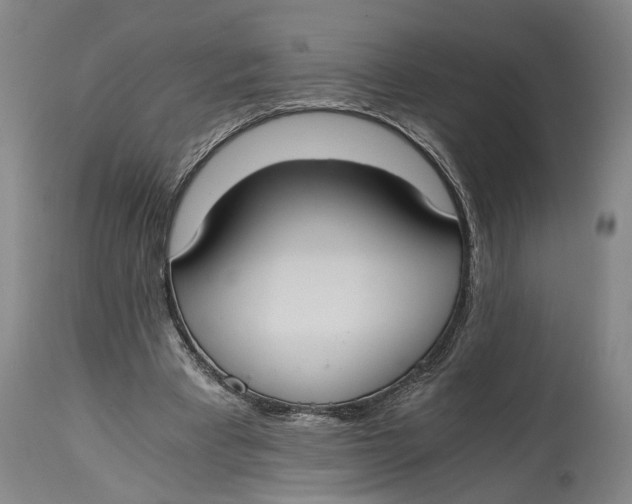 X0000114640393200911101303