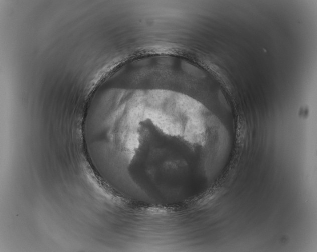 X0000114640394200911101303