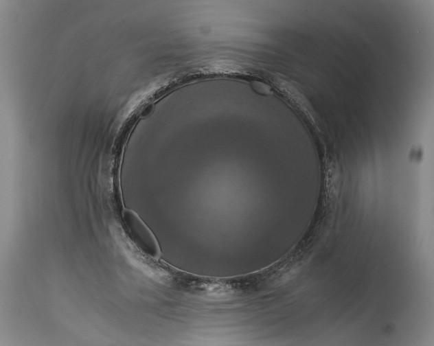 X0000114640395200911101303