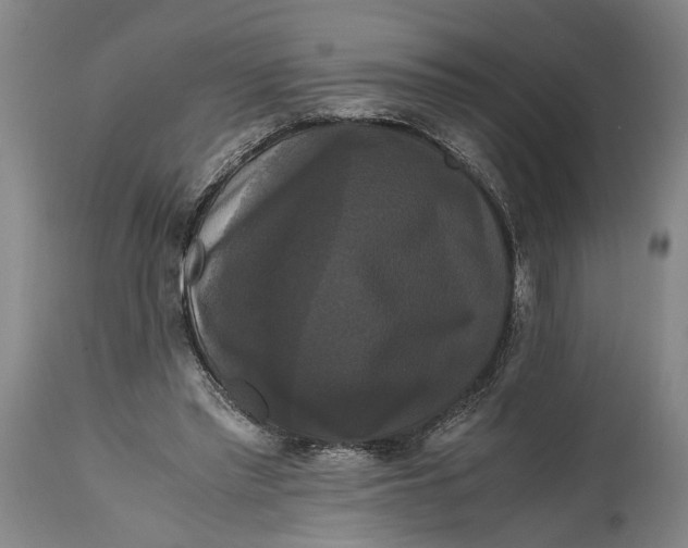 X0000114640397200911101303