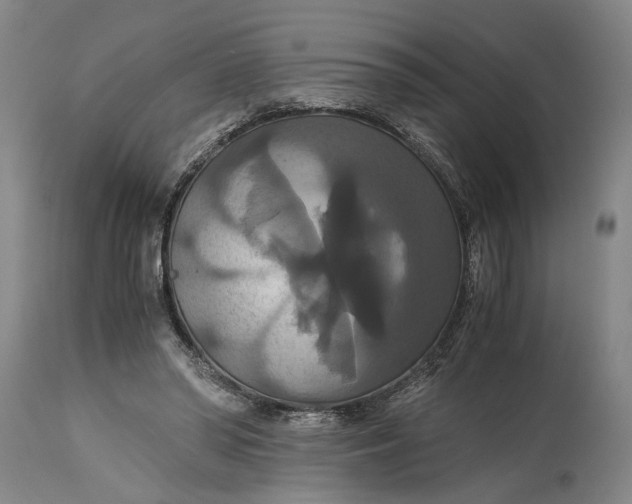 X0000114640398200911101303