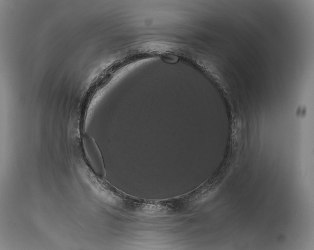 X0000114640399200911101303
