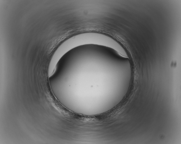 X0000114640401200911101303