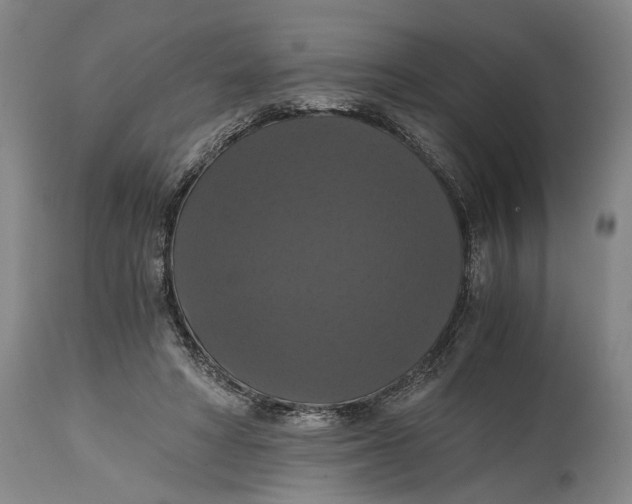 X0000114640402200911101303