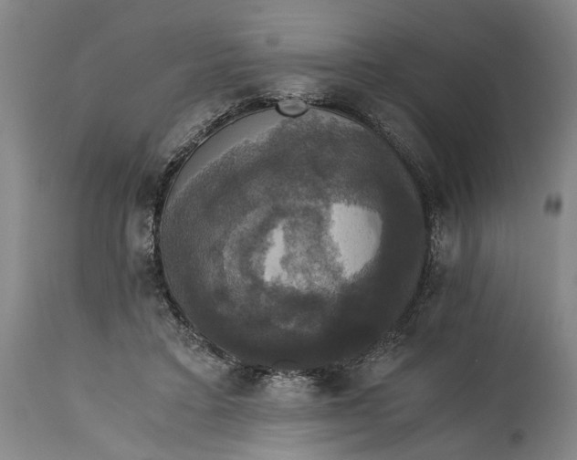 X0000114640403200911101302