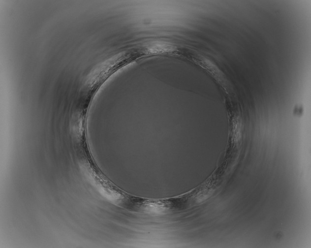 X0000114640405200911101302