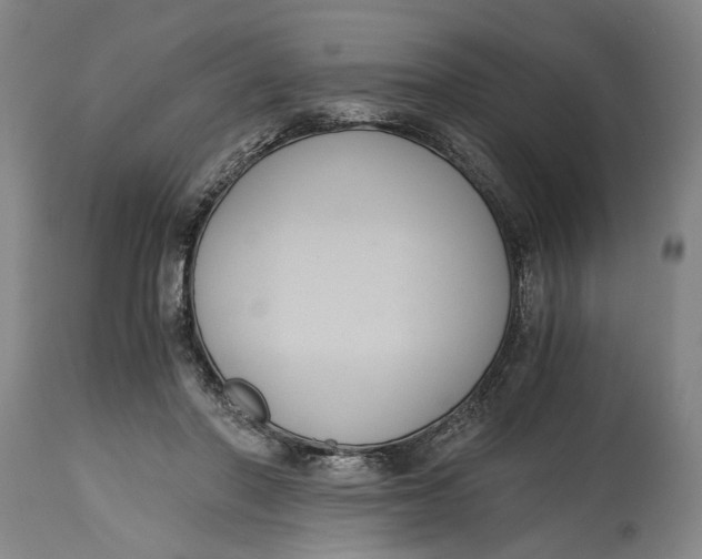 X0000114640406200911101302