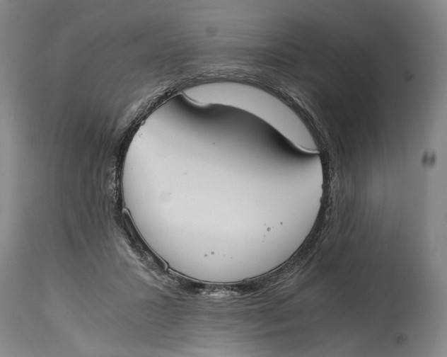 X0000114640407200911101302