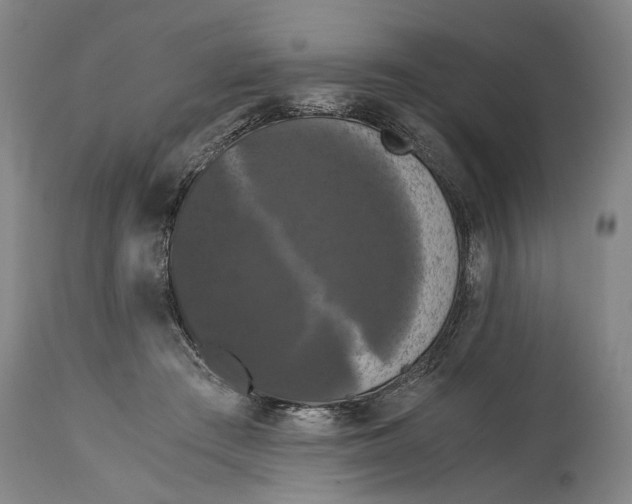 X0000114640409200911101302