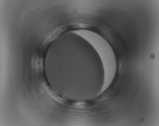 X0000114640410200911101302