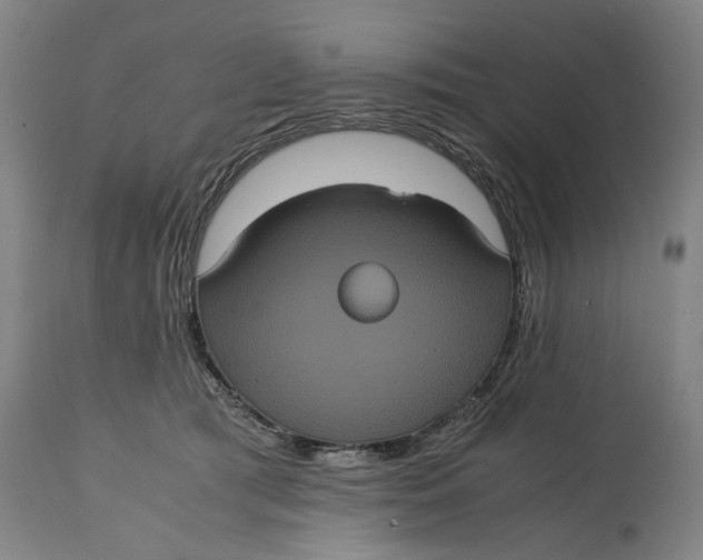 X0000114640417200911101302