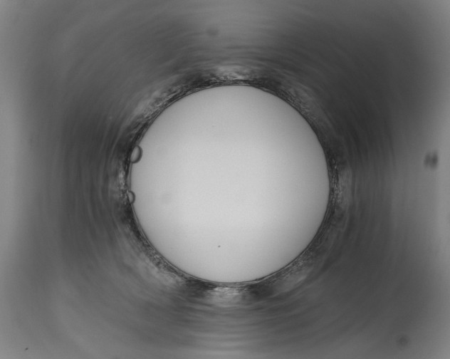 X0000114640418200911101302