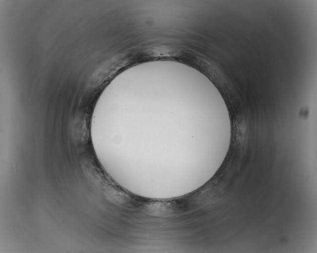 X0000114640422200911101302