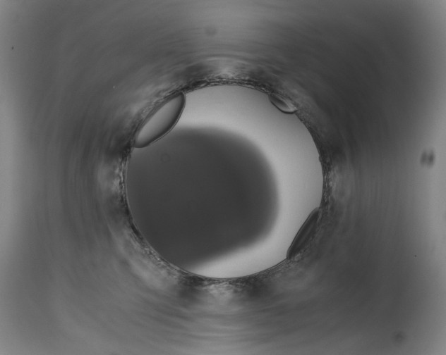 X0000114640423200911101302