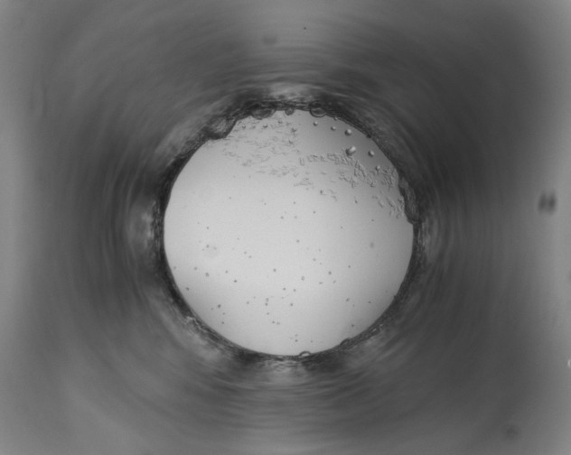 X0000114640424200911101302